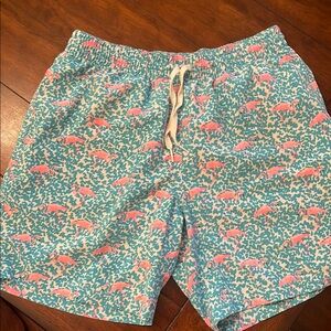 Chubbies Flamingo Pink and Green Swim Trunks